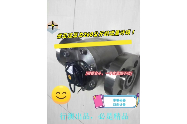 XALA圓齒輪流量計(jì)（法蘭連接）